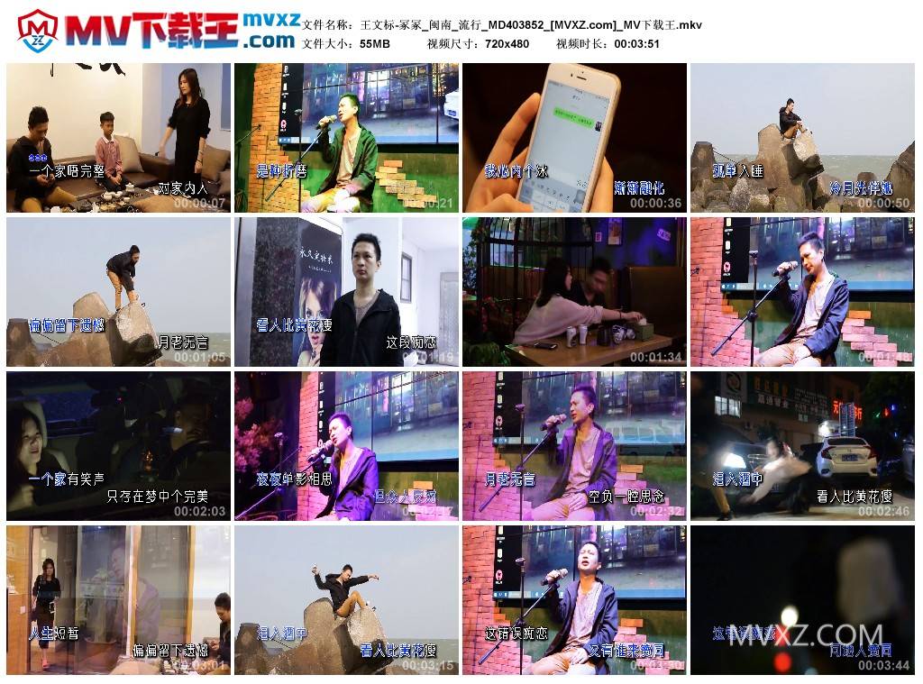 王文标-冢冢_闽南_流行_MD403852